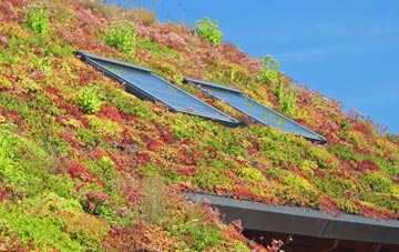 Bolham Water living roof systems