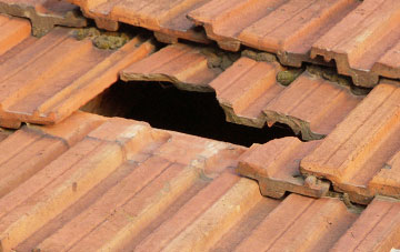 roof repair Bolham Water, Devon